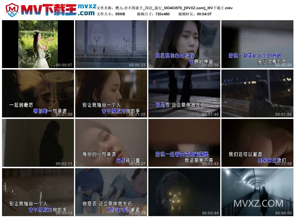 燃儿-舍不得放手_国语_流行_MD403570